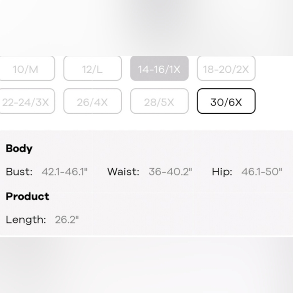 BloomChic Super Soft Essentials Striped Contrast Raglan Sleeve T-shirt 14-16 - Picture 7 of 13